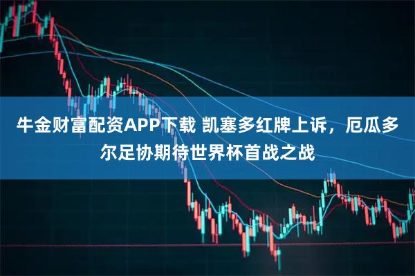 牛金财富配资APP下载 凯塞多红牌上诉，厄瓜多尔足协期待世界杯首战之战
