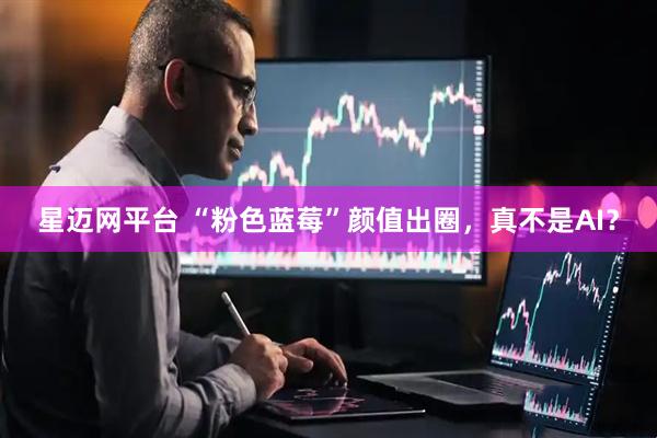 星迈网平台 “粉色蓝莓”颜值出圈，真不是AI？